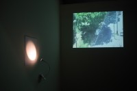 Code of Light的圖片